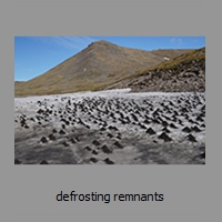 defrosting remnants